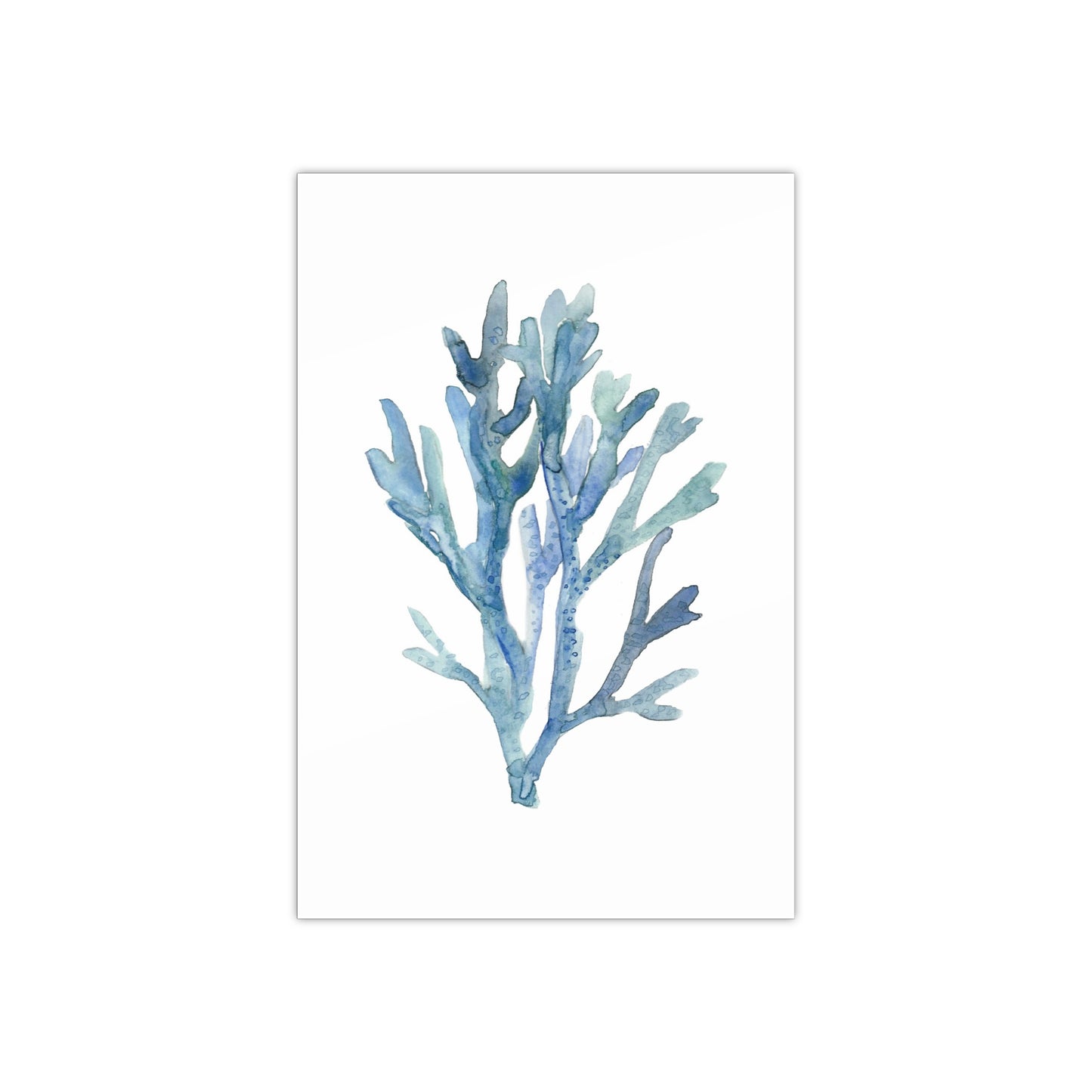 Coral 1 Watercolor
