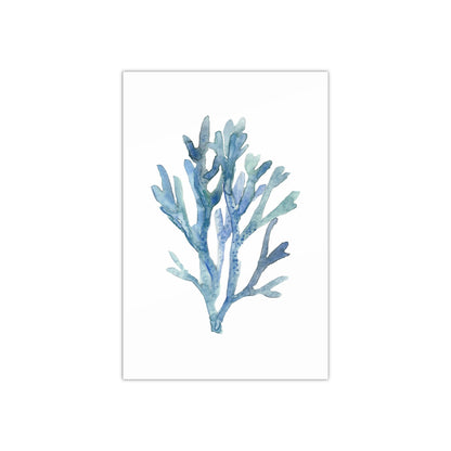 Coral 1 Watercolor
