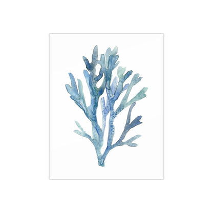 Coral 1 Watercolor