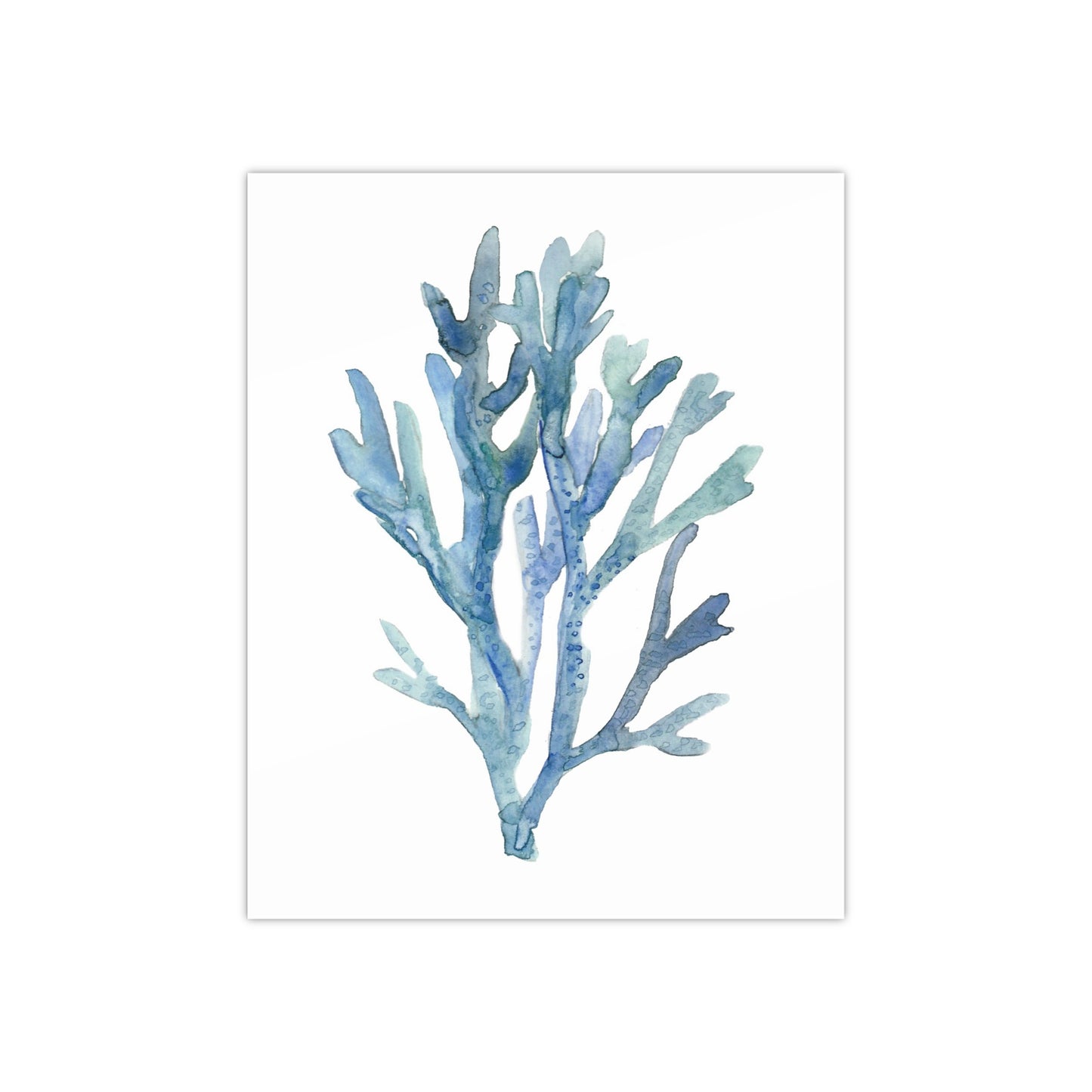 Coral 1 Watercolor