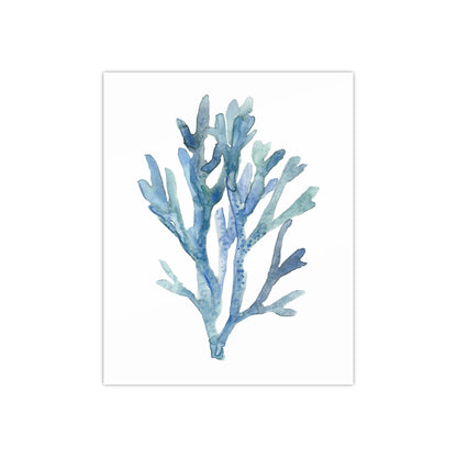 Coral 1 Watercolor